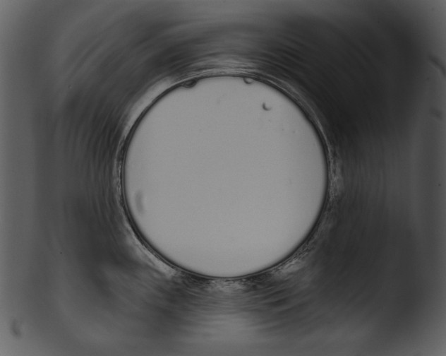 X0000103231243200809251257