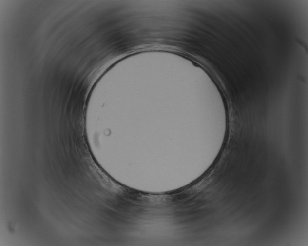X0000103231244200809251257