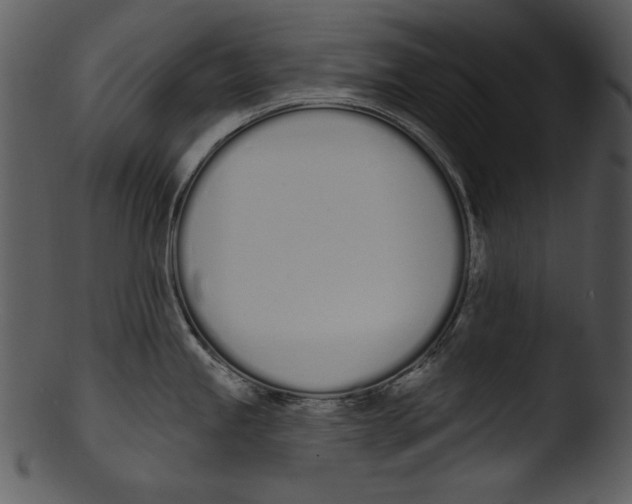 X0000103231245200809251257