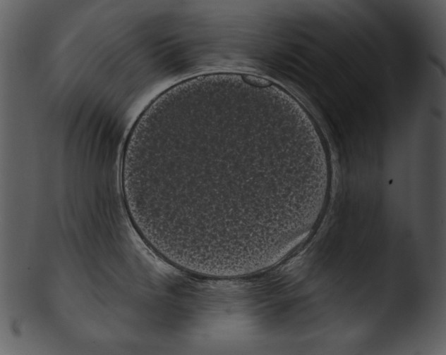 X0000103231246200809251257