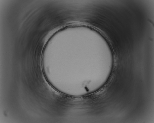 X0000103231247200809251257