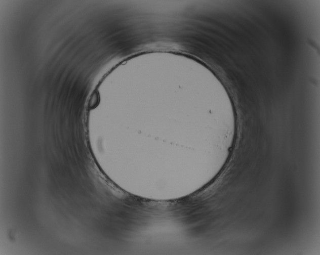 X0000103231248200809251257