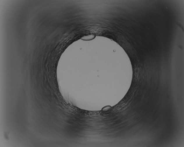 X0000103231249200809251256