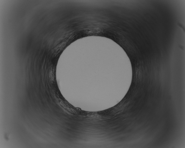 X0000103231250200809251256