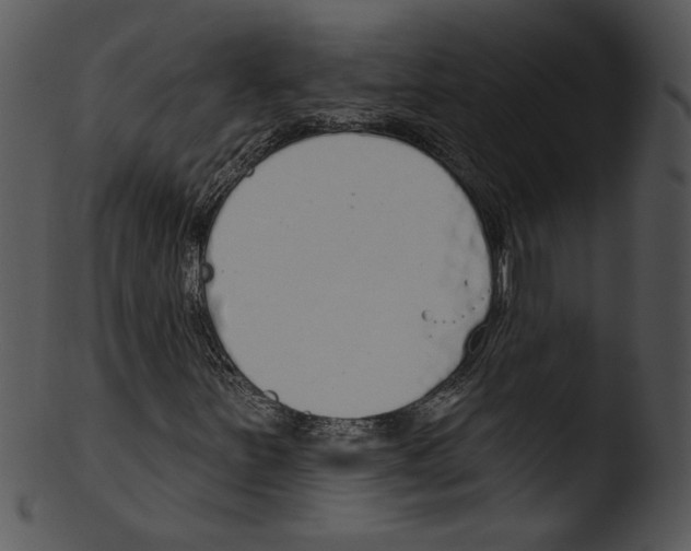 X0000103231251200809251256