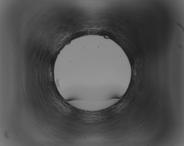 X0000103231252200809251256