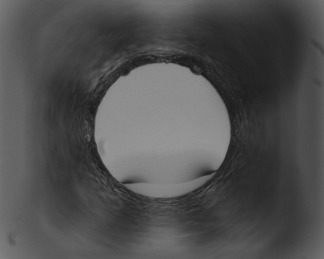 X0000103231253200809251256