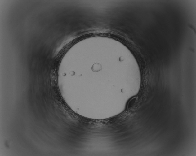 X0000103231255200809251256