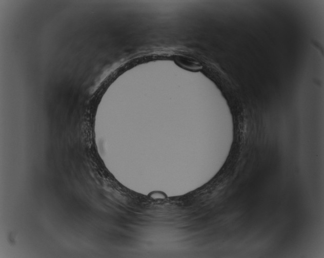 X0000103231256200809251256