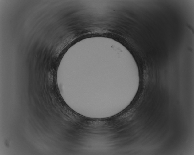 X0000103231257200809251256