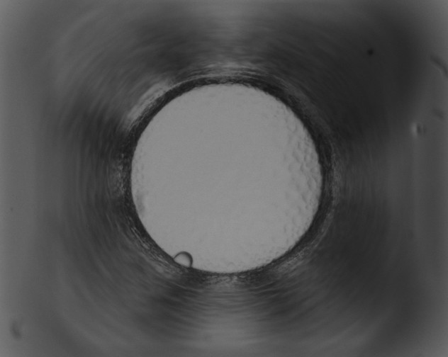 X0000103231259200809251256