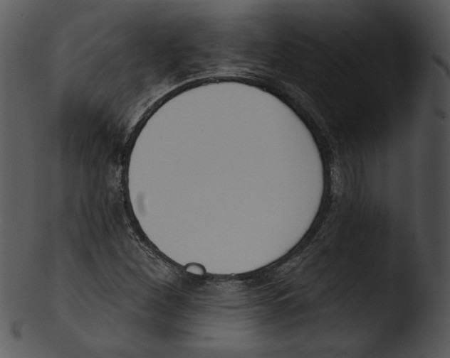 X0000103231260200809251256