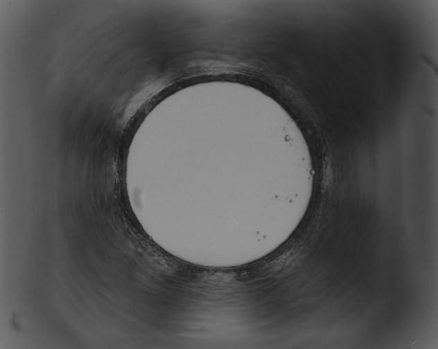X0000103231261200809251256