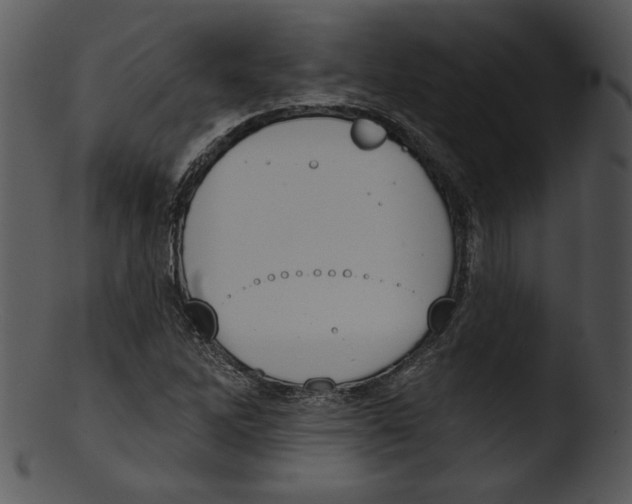 X0000103231262200809251256
