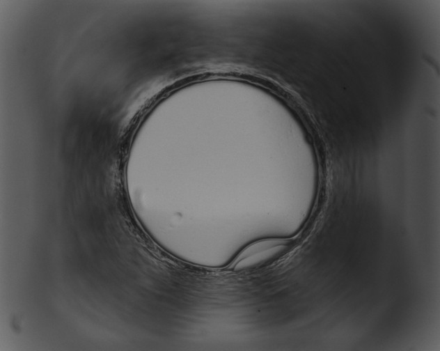 X0000103231263200809251256