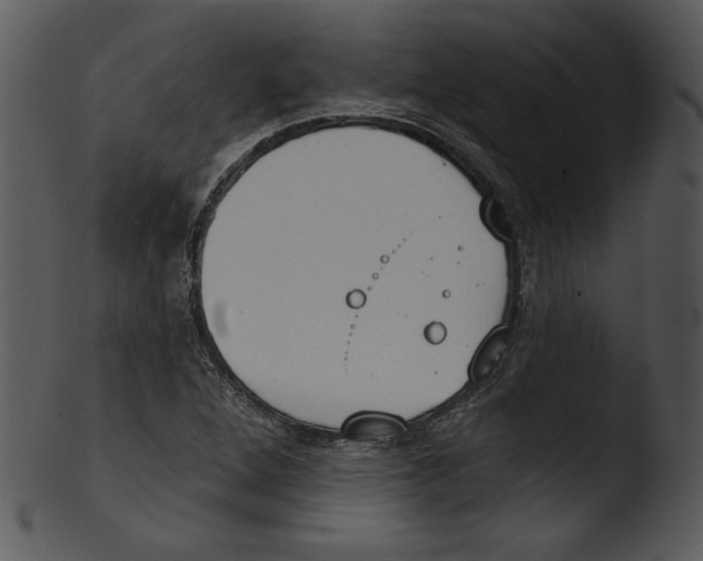 X0000103231264200809251256