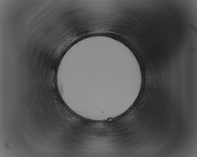 X0000103231265200809251256