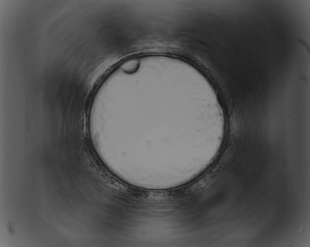 X0000103231267200809251256