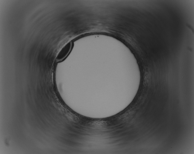 X0000103231268200809251256