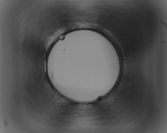 X0000103231269200809251256