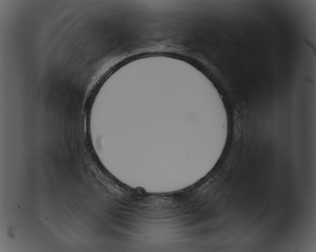 X0000103231270200809251256