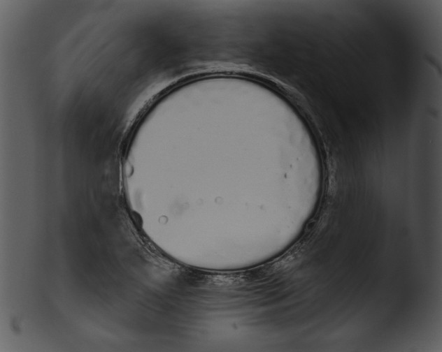 X0000103231271200809251256