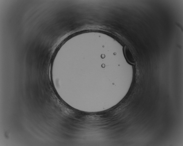 X0000103231272200809251256