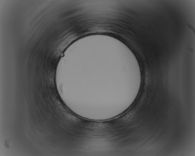 X0000103231273200809251256