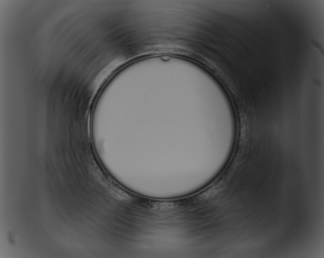 X0000103231275200809251256