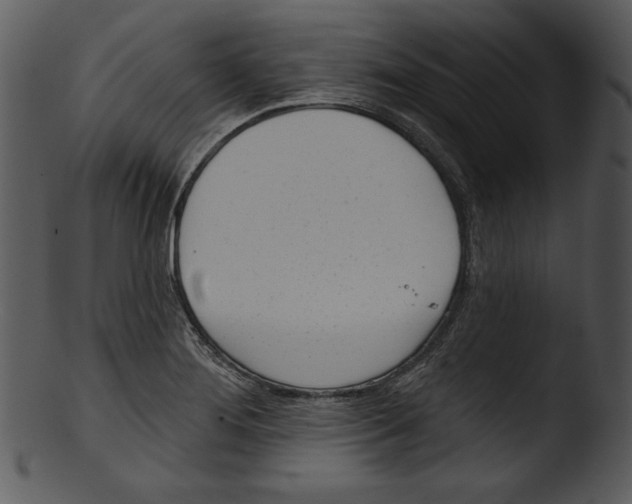 X0000103231276200809251256