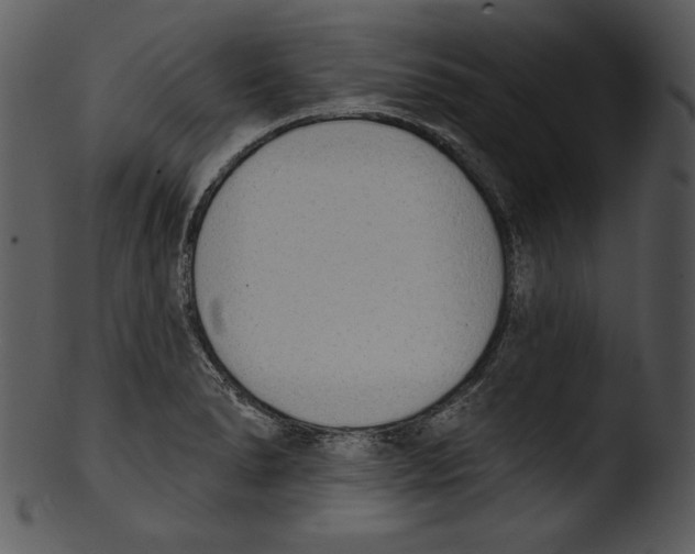 X0000103231278200809251256