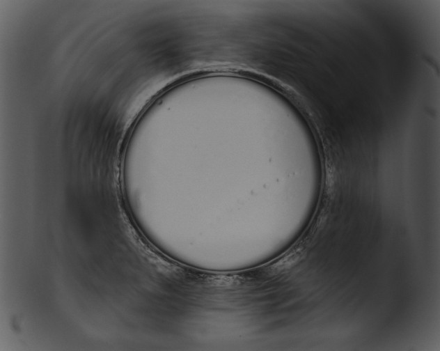 X0000103231279200809251256