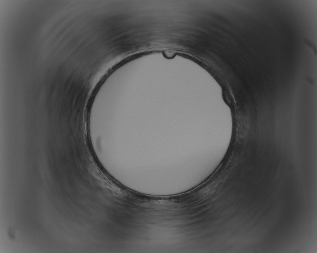 X0000103231280200809251255