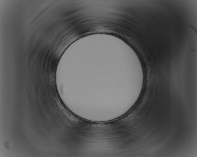 X0000103231281200809251255