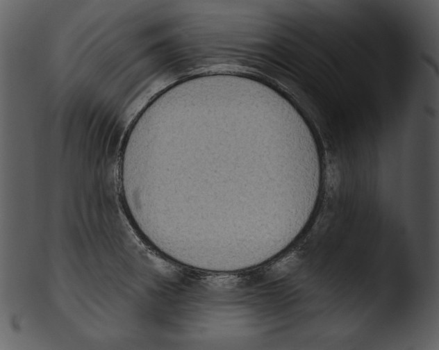 X0000103231282200809251255