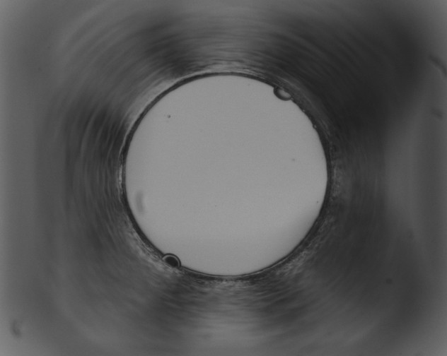 X0000103231284200809251255