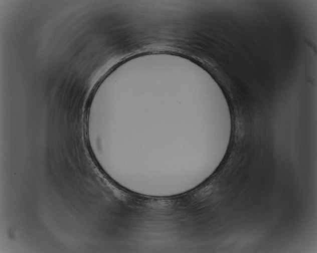X0000103231286200809251255