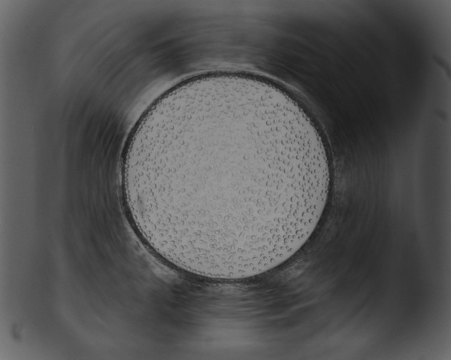 X0000103231287200809251255