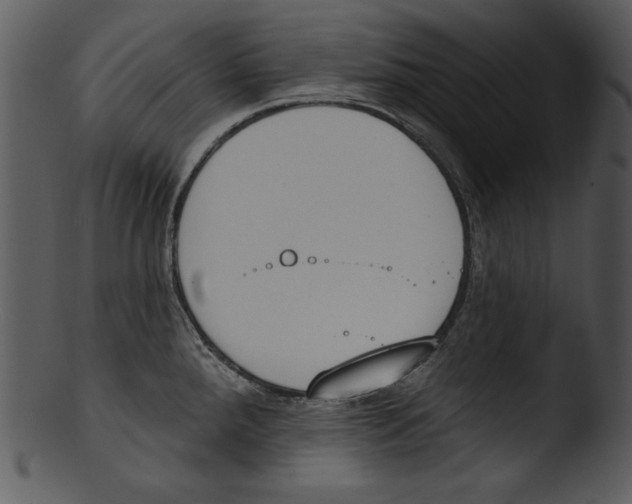 X0000103231288200809251255