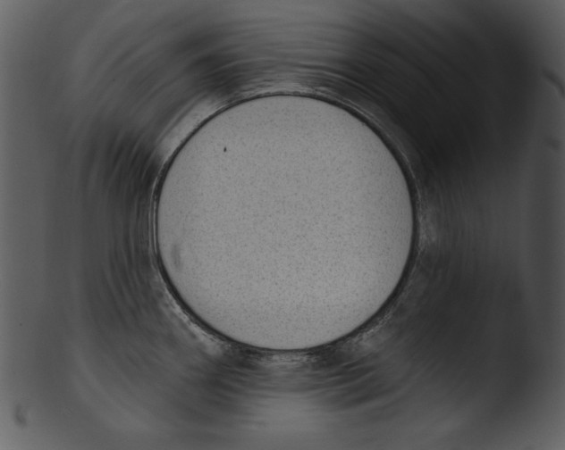 X0000103231290200809251255