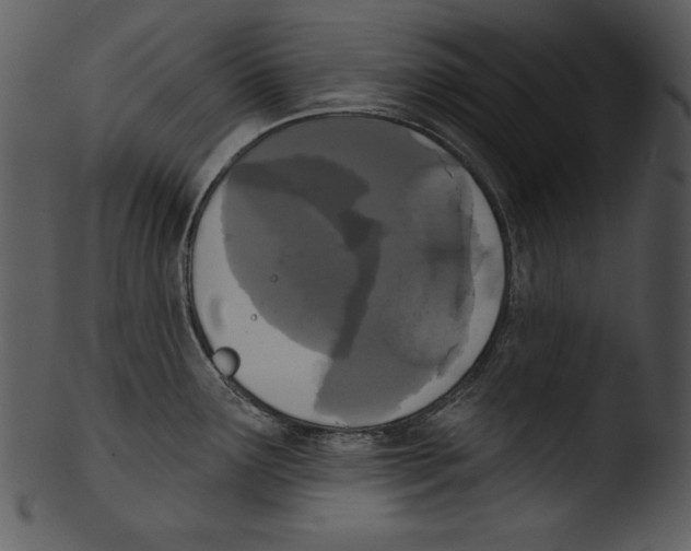 X0000103231291200809251255