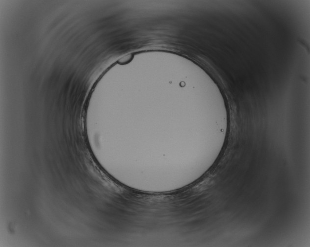 X0000103231292200809251255
