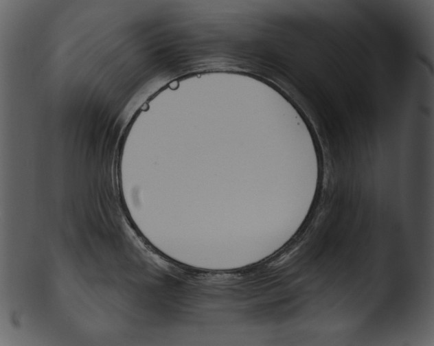 X0000103231293200809251255