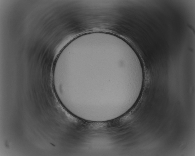 X0000103231294200809251255