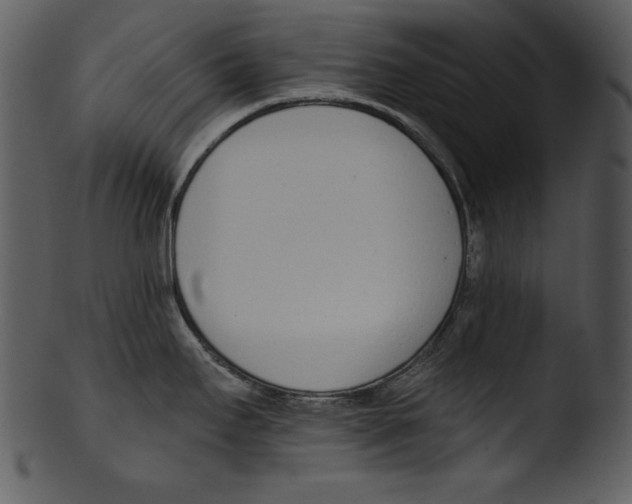 X0000103231295200809251255