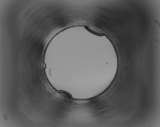 X0000103231296200809251255