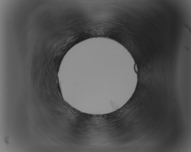X0000103231297200809251255