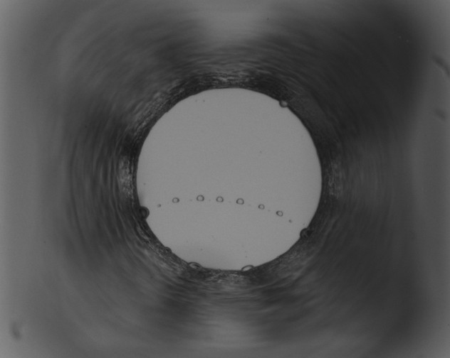 X0000103231298200809251255