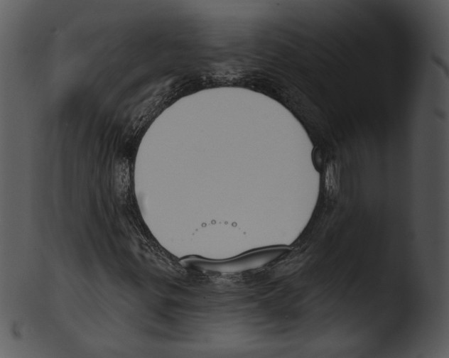 X0000103231299200809251255