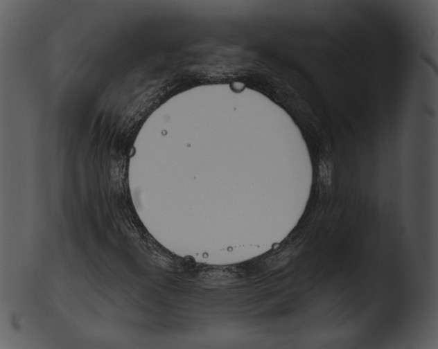 X0000103231300200809251255